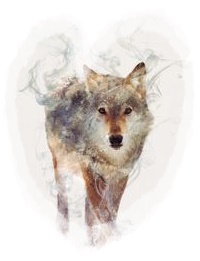 quelle:https://de.pinterest.com/pin/562809284662173314